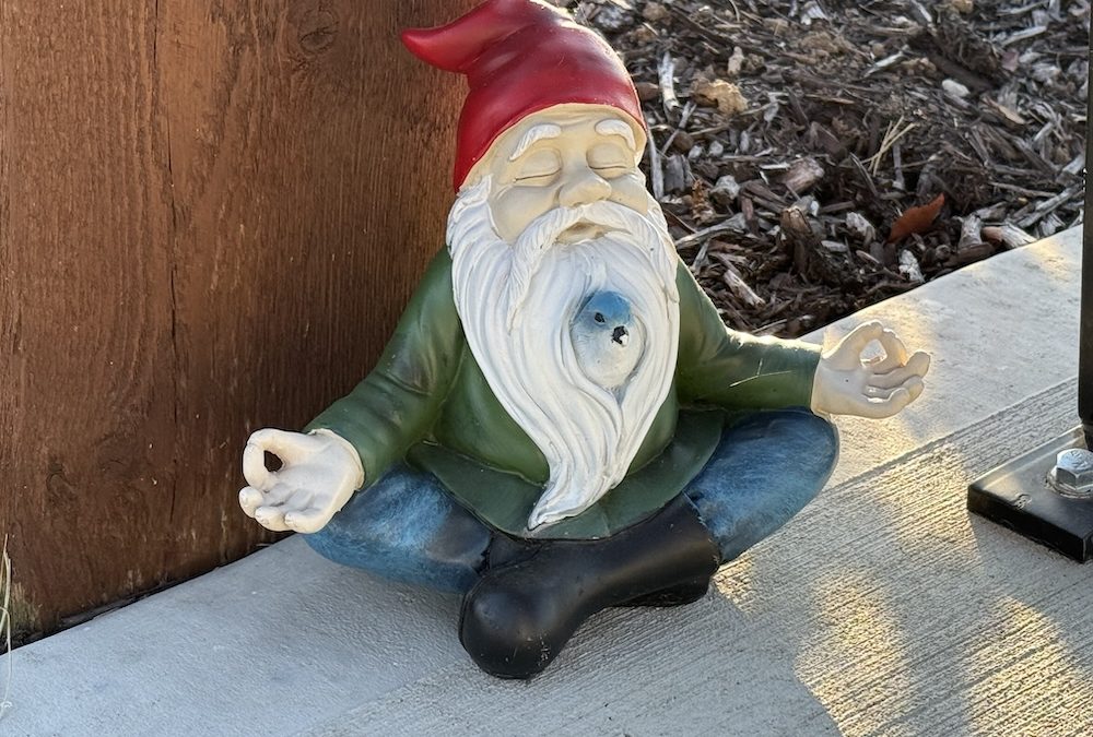 Shenanigans Are Afoot