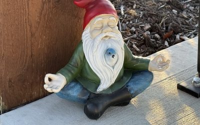 Shenanigans Are Afoot